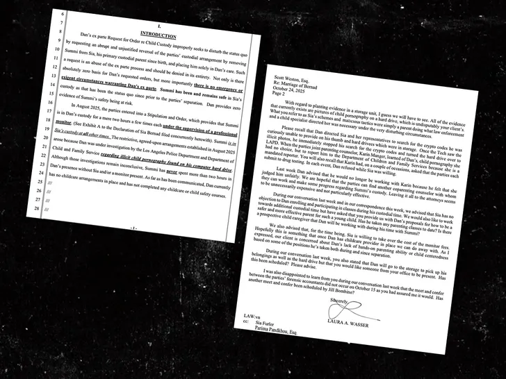 Sia Estranged Husband Files For Sole Custody of Kid -- Sia's Exhibits