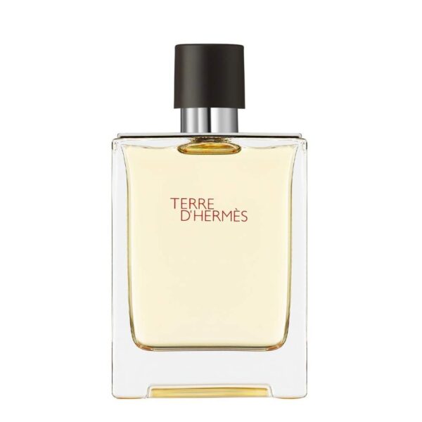 HERMES TERRE D'HERMES CLASSIC HOME EDT 100 ML M44 HERMES TERRE D'HERMES CLASSIC HOME EDT 100 ML M44