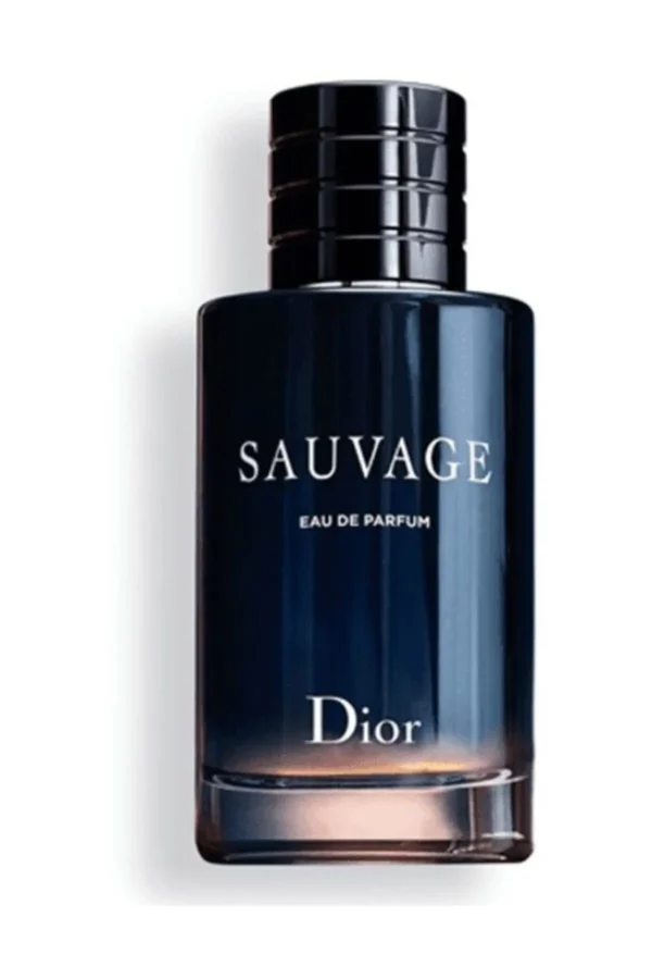 CD DIOR SAUVAGE 100 ML EDP M13