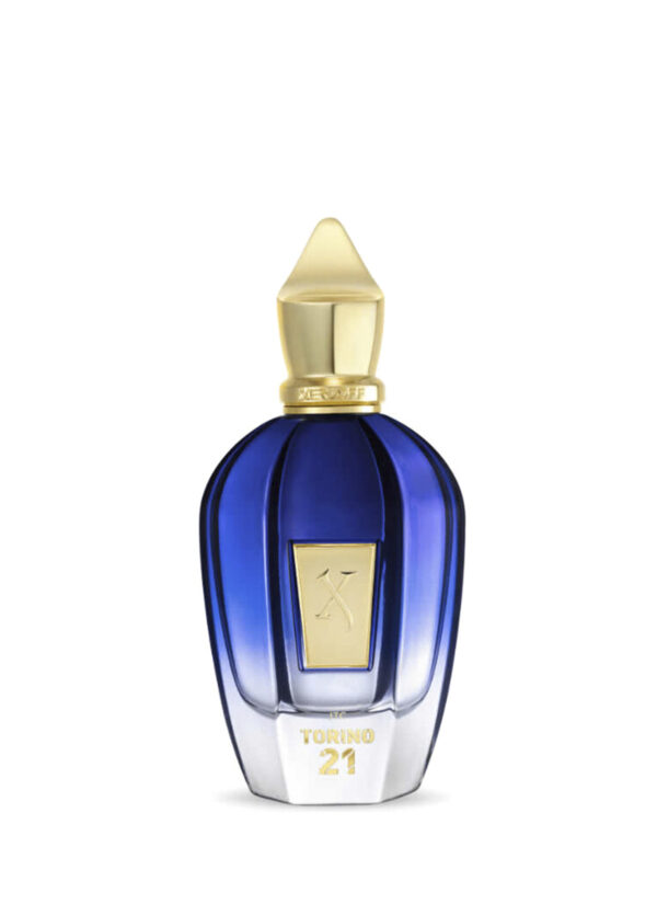 XERJOFF TORINO 21 EDP 100 ML (LUX) N013